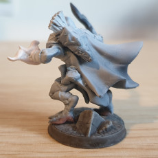 Picture of print of Eye-Cult Infiltrator Gryphkin - Modular D