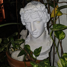 Picture of print of Antinous Mondragone
