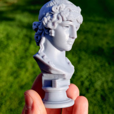 Picture of print of Antinous Mondragone