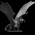 Black Dragon Wyrmling Updated image