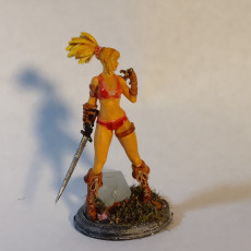 Picture of print of Pin up - Dual sword fighter