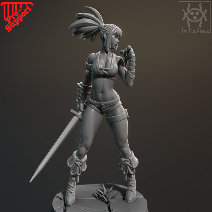 $4.99Pin up - Dual sword fighter