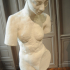 Torso of the Naked Muse image