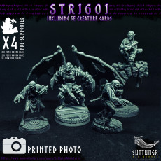 Picture of print of Vampire Strigoi - Pre-Supported
