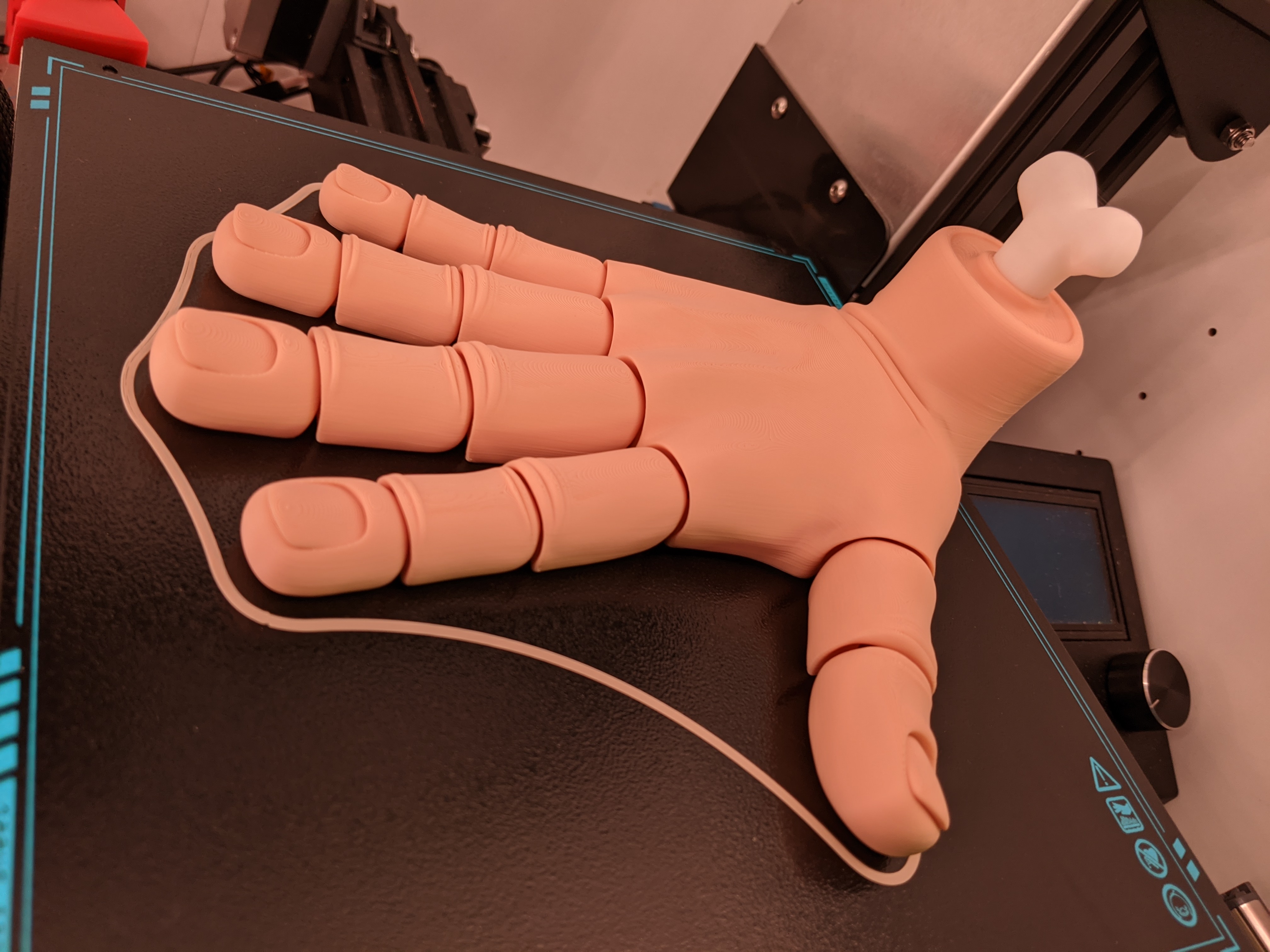 Flexi-Hand ToyKnick Knack 3D Printed