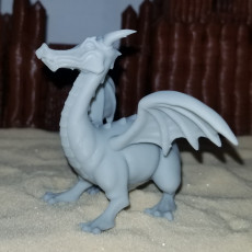 Picture of print of Snoot - Dragon
