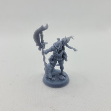 Picture of print of September Release - Titan Forge Miniatures - Amazons and Ogres