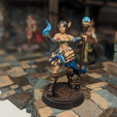 Picture of print of Female Wizard