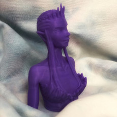 Picture of print of DeeQuu Bust