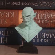 Picture of print of Azog the Defiler Bust This print has been uploaded by Marek Ertl