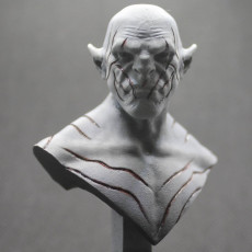 Picture of print of Azog the Defiler Bust This print has been uploaded by Onkel Biji