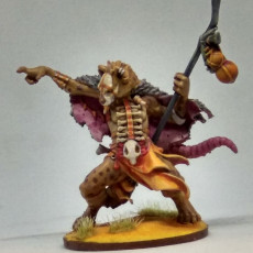 Picture of print of Gnoll Shaman