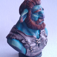 Picture of print of Firbolg Bust [Pre-Supported] 这个打印已上传 Cindy