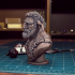 Firbolg Bust [Pre-Supported] image
