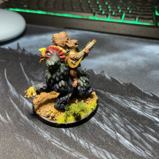 Picture of print of Scurryni Bard Riding Chickenbear (With Pre Supports)