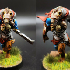 Picture of print of Gnoll Deathpledge