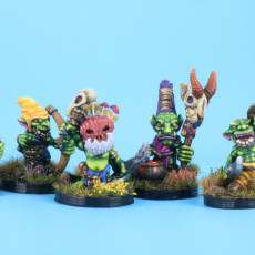 Picture of print of Goblin Shaman (pre supported)