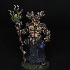 Picture of print of Aerlin - Druid - 32mm - DnD -