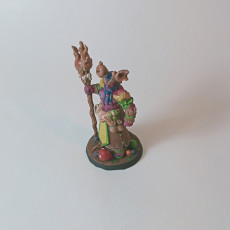 Picture of print of Aerlin - Druid - 32mm - DnD -