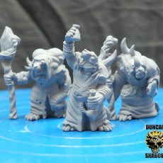 Picture of print of Plague Priests (pre supported)