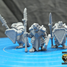 Picture of print of Armoured Ratfolk with Shields (Pre Supported)