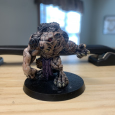 Picture of print of Rat Ogres (pre supported)