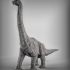 Brachiosaurus image