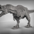 Ceratosaurus image
