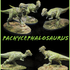 Picture of print of Pachycephalosaurus