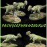 Pachycephalosaurus print image