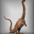 Diplodocus image