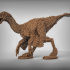 Oviraptor image