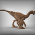 Oviraptor image