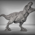 Tyrannosaurus image