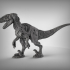 Undead Velociraptor image