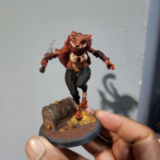 Picture of print of Skivvara - Tabaxi Rogue
