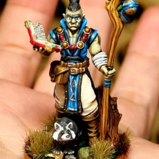 Picture of print of Wizard Half-Orc
