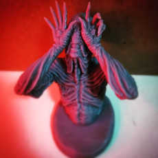 Picture of print of Paleman This print has been uploaded by elemental3dprinting