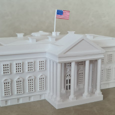 Picture of print of The White House (Lamp) - USA