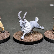 Picture of print of Dwarf Goat Riders