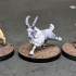 Dwarf Goat Riders print image