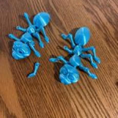 Picture of print of Cute Flexi Print-in-Place Ant