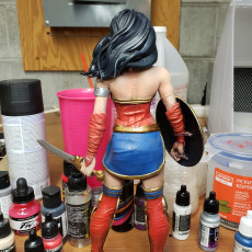 Picture of print of Wonder Woman