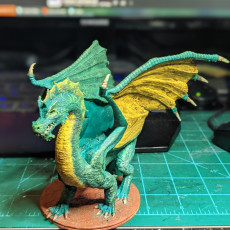Picture of print of Green Dragon Updated