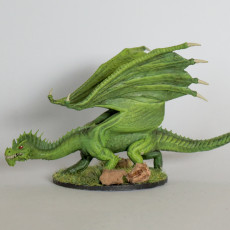 Picture of print of Green Dragon Updated