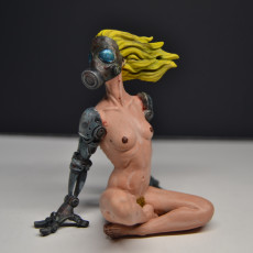 Picture of print of Transhuman Female