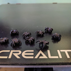 Picture of print of Spiders