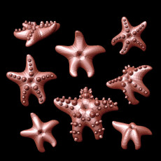 230x230 starfish1 1