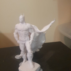 Picture of print of Batman with Cape Support Free Remix