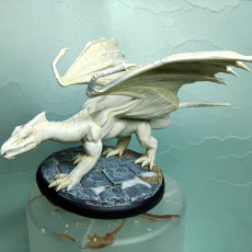 Picture of print of White Dragon Updated